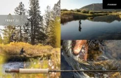 Sage Trout LL 4pc Fly Rod 12 Sage Trout LL 4pc Fly Rod -Vissen Winkel 334f4d05 4d2d 442a 93c0 72f82ab12a54 1