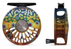 Abel TR DeYoung Brook Flank #2/3 Reel
