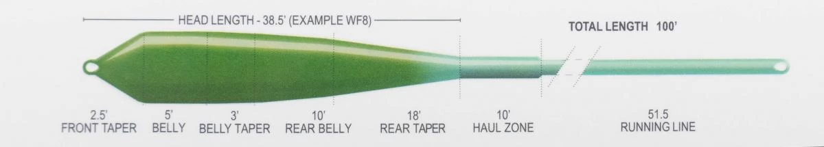 Airflo Ridge 2.0 Flats Power Sea Grass/Aqua WF Floating Fly Line 5 Airflo Ridge 2.0 Flats Power Sea Grass/Aqua WF Floating Fly Line - Afbeelding 3