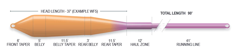 Airflo Superflo Power Taper WF Floating Fly Line 5 Airflo Superflo Power Taper WF Floating Fly Line - Afbeelding 3