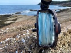 Cortland Compact Intermediate Blitz Fly Line -Vissen Winkel Cortland Compact intermediate Blitz Fly Line D340020 XX img 4376 1200x