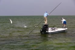 Cortland Liquid Crystal Guide Tropic Salt Floating Fly Line -Vissen Winkel Cortland Liquid Crystal Guide Tropic Salt Fly Line D340030 XX inter3 92936b4c 78bc 4e91 8912 910d7d939c72 1200x