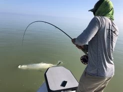 Cortland Liquid Crystal Tarpon Taper Fly Line -Vissen Winkel Cortland Liquid Crystal Tarpon Taper Fly Line D34003 XX liquidcrystal 1200x