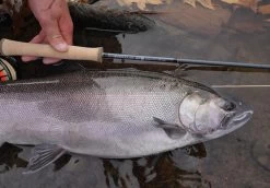 Douglas Sky G Fly Rod -Vissen Winkel Douglas Sky G Fly Rod DOUGLASSKYG XXX 4schermafbeelding 2023 01 11 om 11.54