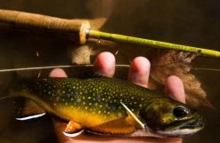 Douglas Upstream Fly Rod -Vissen Winkel Douglas Upstream Fly Rod NFD607 XXX 2schermafbeelding 2023 01 11 om 11.50