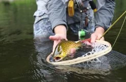 Douglas Upstream Fly Rod -Vissen Winkel Douglas Upstream Fly Rod NFD607 XXX schermafbeelding 2023 01 11 om 11.50