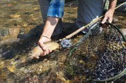 Douglas Upstream Plus Fly Rod 20 Douglas Upstream Plus Fly Rod -Vissen Winkel Douglas Upstream Plus Fly Rod NFD615 XXX 2schermafbeelding 2023 01 11 om 11.47