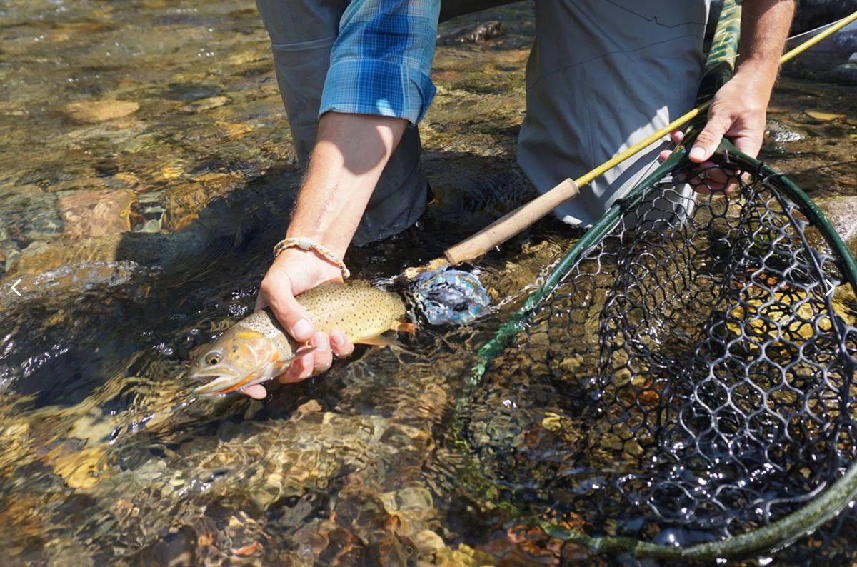 Douglas Upstream Plus Fly Rod 10 Douglas Upstream Plus Fly Rod - Afbeelding 8