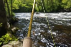 Douglas Upstream Plus Fly Rod 22 Douglas Upstream Plus Fly Rod -Vissen Winkel Douglas Upstream Plus Fly Rod NFD615 XXX schermafbeelding 2023 01 11 om 11.47
