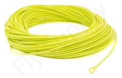Euro Flies Allround WF Floating Fly Line -Vissen Winkel Euro Flies Allround WF Floating Fly Line EF ALLROUNDWF XXX dsc06551 1