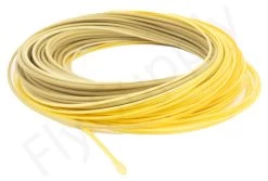 Euro Flies Presentation WF Floating Fly Line -Vissen Winkel Euro Flies Presentation WF Floating Fly Line EF WFPRES XXX dsc06447 bewerkt