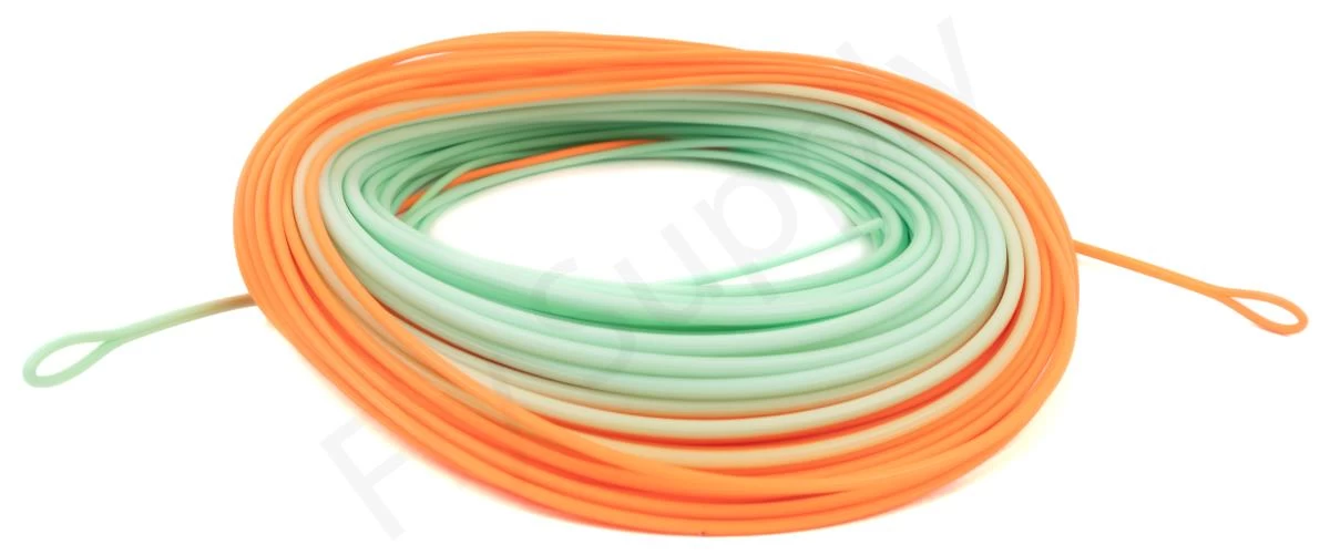 Euro Flies Tropical Power Taper Floating WF Fly Line 5 Euro Flies Tropical Power Taper Floating WF Fly Line - Afbeelding 3