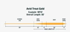RIO AVID Trout Gold Fly Line 7 RIO AVID Trout Gold Fly Line -Vissen Winkel RIO AVID Trout Gold Fly Line 12 9695 XX avidgold2