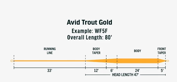 RIO AVID Trout Gold Fly Line 5 RIO AVID Trout Gold Fly Line - Afbeelding 3