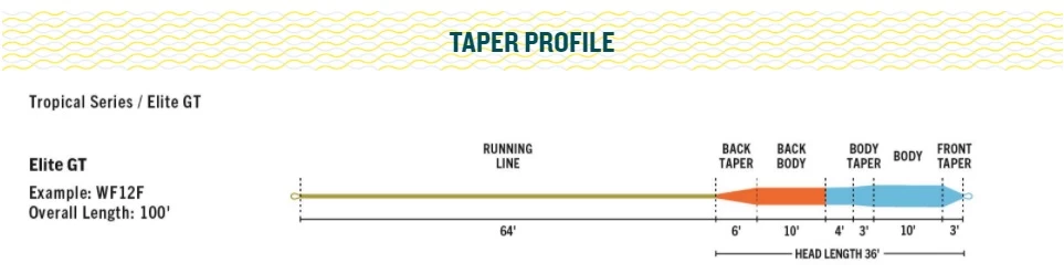 RIO Elite GT Floating Fly Line Blue/Orange/Sea Grass 5 RIO Elite GT Floating Fly Line Blue/Orange/Sea Grass - Afbeelding 3