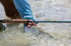 Redington Predator II Fly Rod -Vissen Winkel Redington Predator II Fly Rod 05 851 XX knipsel4