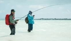 Redington Predator II Fly Rod -Vissen Winkel Redington Predator II Fly Rod 05 851 XX knipsel6