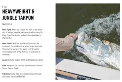 SAGE Salt R8 Fly Rod -Vissen Winkel SAGE Salt R8 Fly Rod 03 17 XXX 17