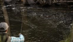 SAGE Sense Fly Rod 16 SAGE Sense Fly Rod -Vissen Winkel SAGE Sense Fly Rod SAGESENSEROD XXX sense tube2