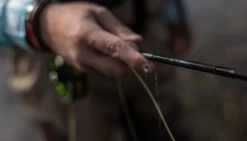 SAGE Sense Fly Rod 18 SAGE Sense Fly Rod -Vissen Winkel SAGE Sense Fly Rod SAGESENSEROD XXX sense tube4