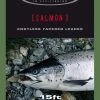 Vision Salmon 15ft Leader 2 Vision Salmon 15ft Leader -Vissen Winkel Salmon leader ORIG