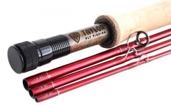 Taylor Phenom MII Fly Rod 12 Taylor Phenom MII Fly Rod -Vissen Winkel Taylor Phenom MII Fly Rod NFD880 XXX phenom203