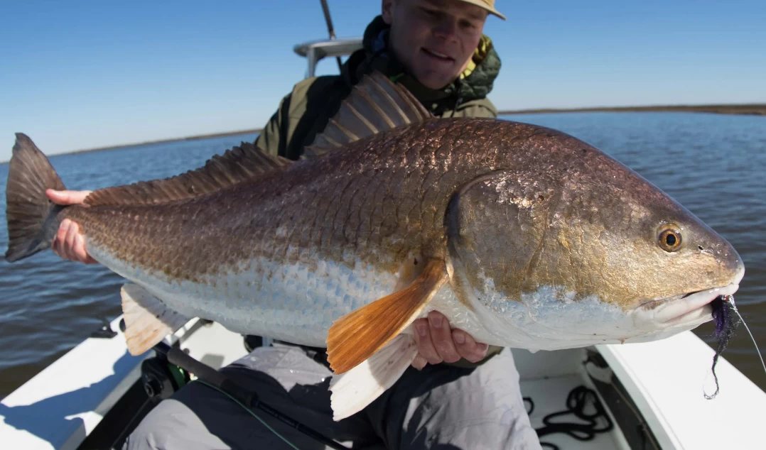 Thomas & Thomas Exocett SS Fly Rod 5 Thomas & Thomas Exocett SS Fly Rod - Afbeelding 3