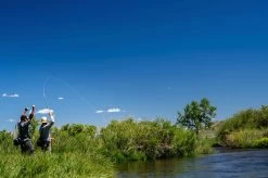 Thomas & Thomas Lotic Fly Rod -Vissen Winkel Thomas Thomas Lotic Fly Rod LOTIC XXX 1schermafbeelding 2022 10 19 om 17.07