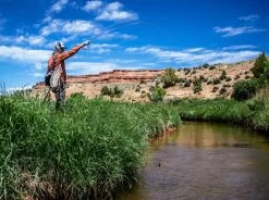 Thomas & Thomas Lotic Fly Rod -Vissen Winkel Thomas Thomas Lotic Fly Rod LOTIC XXX schermafbeelding 2022 10 19 om 17.07