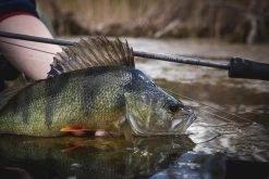 Vision Merisuola Predator Rod Outfit 33 Vision Merisuola Predator Rod Outfit -Vissen Winkel Vision Merisuola Predator Outfit VISMERISUPREDOUT XXX at2a4769