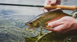 Winston Air 2 Fly Rod -Vissen Winkel Winston Air2 Fly Rod AIR2ROD XXX naamloo1s