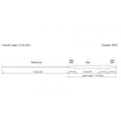 RIO Mainstream Clear Intermediate Fly Line -Vissen Winkel rio mainstream clear intermediate 2 2