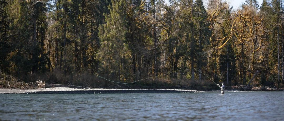 Sage X Switch & Spey 4pc Fly Rod 6 Sage X Switch & Spey 4pc Fly Rod - Afbeelding 4